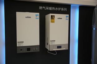 燃气具安全与创新 浙江燃气具协会引领行业新发展